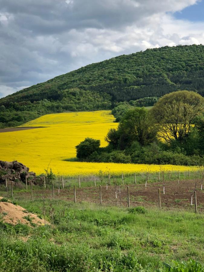 Caravans 10 Min To Tsonevo Lake & 35 Min To Black Sea Экстерьер фото